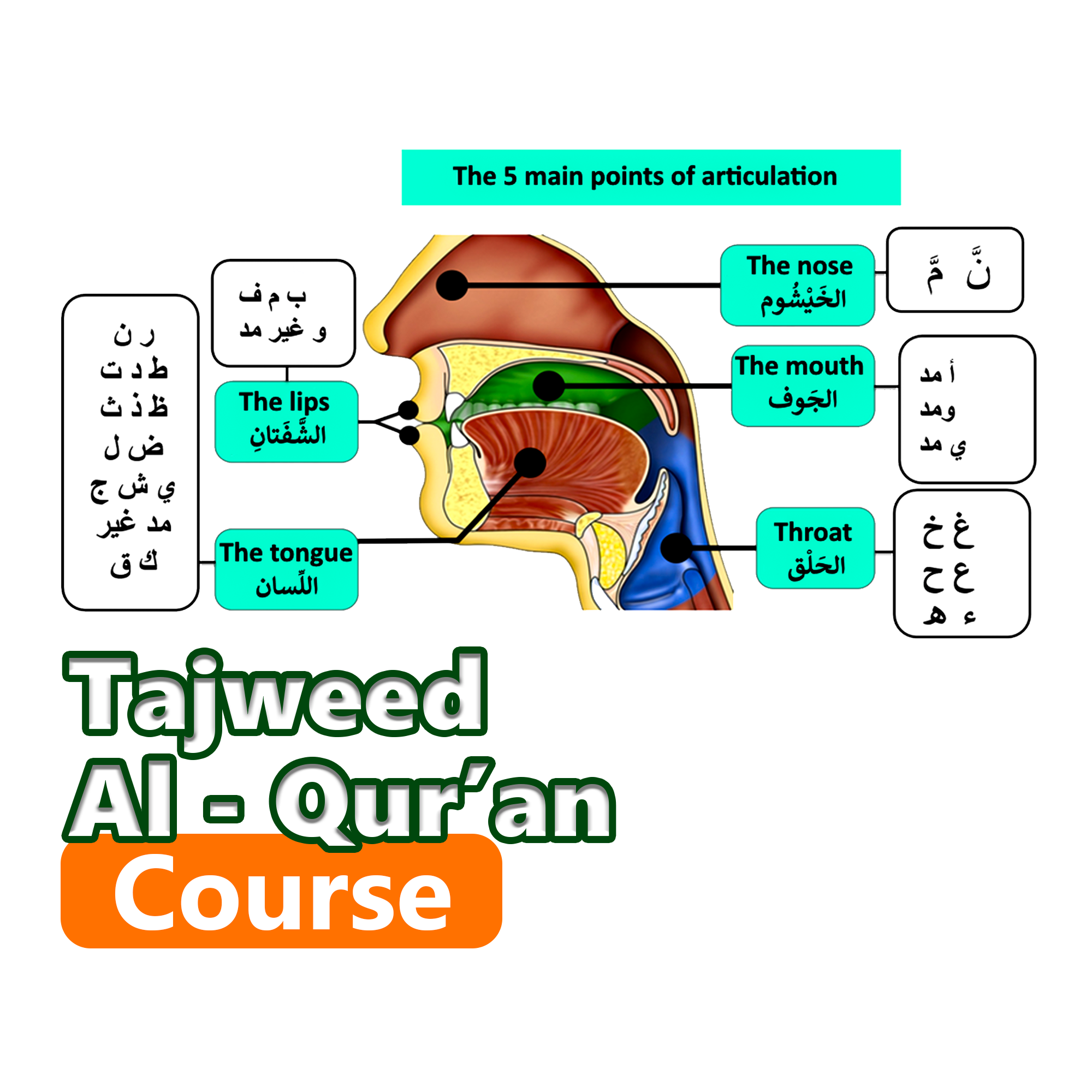 TAJWEED COURSE